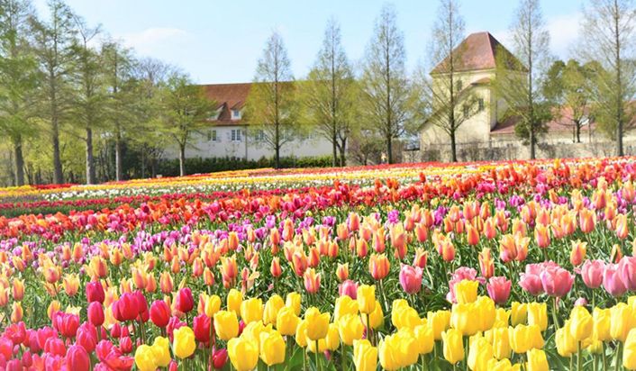 滋賀農業公園ブルーメの丘