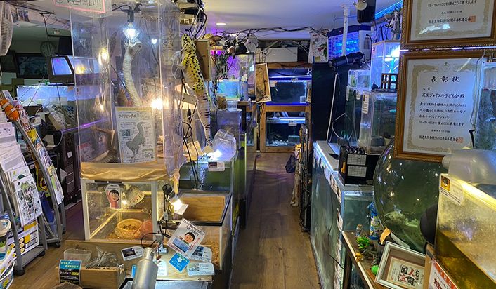 京都花園教会水族館