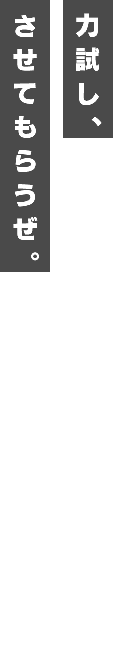 力試し、させてもらうぜ。