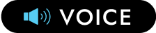 VOICE