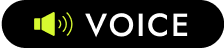 VOICE