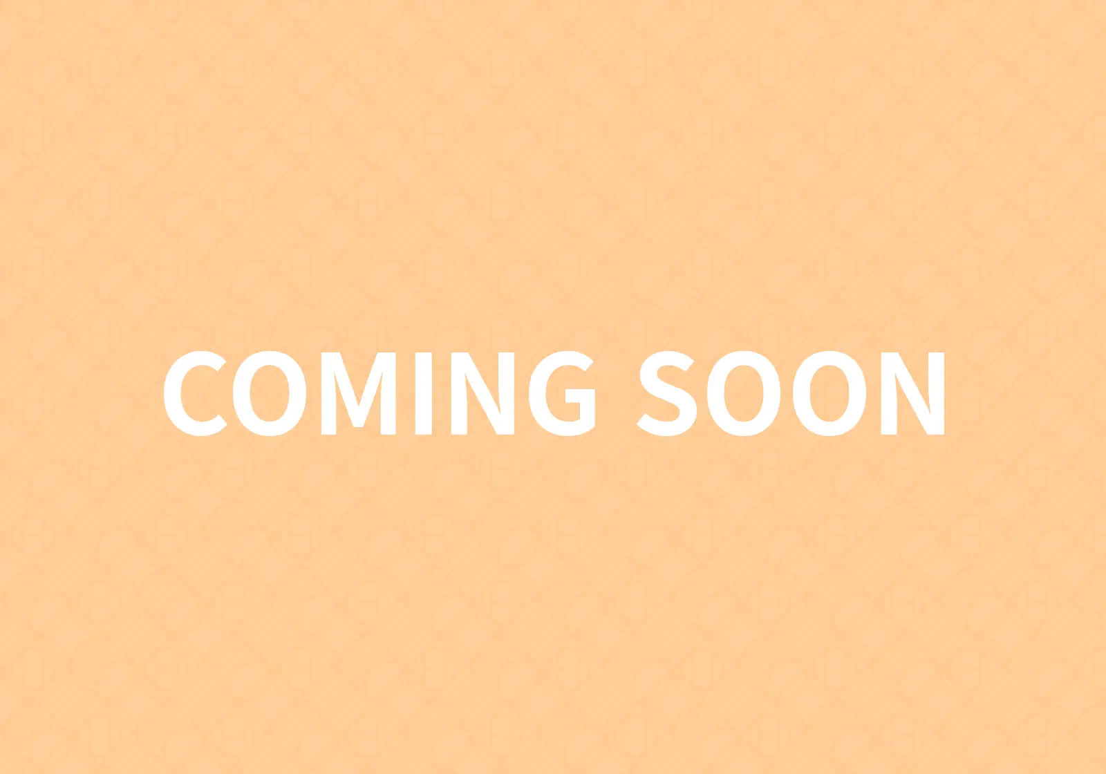 ファイナル公演 ビジュアル