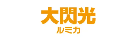 株式会社ルミカ
